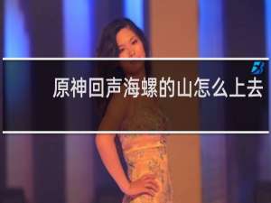 原神回声海螺的山怎么上去