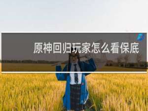 原神回归玩家怎么看保底