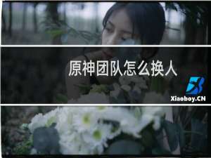 原神团队怎么换人