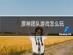 原神团队游戏怎么玩