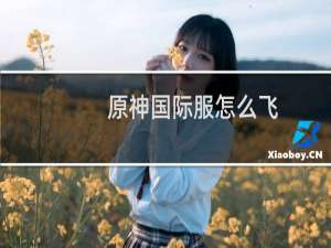 原神国际服怎么飞