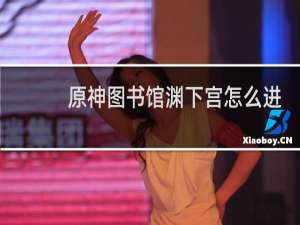 原神图书馆渊下宫怎么进