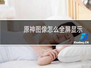 原神图像怎么全屏显示