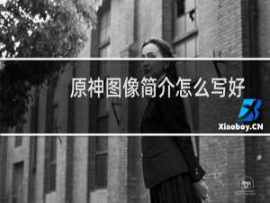 原神图像简介怎么写好