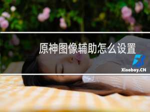 原神图像辅助怎么设置