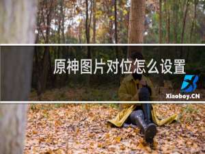 原神图片对位怎么设置