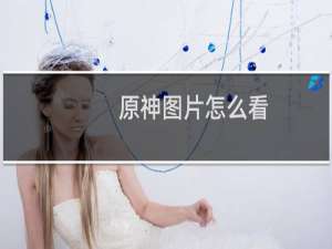 原神图片怎么看