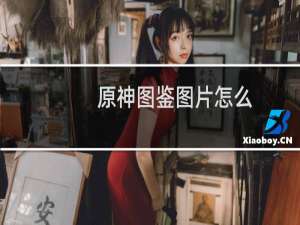 原神图鉴图片怎么