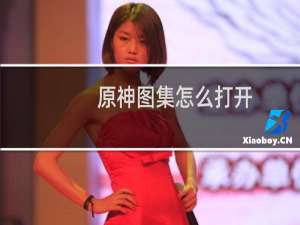 原神图集怎么打开
