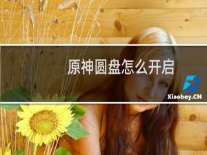 原神圆盘怎么开启