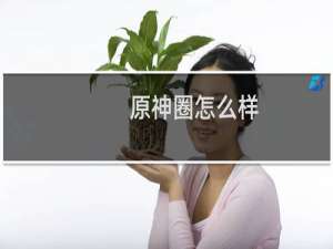 原神圈怎么样