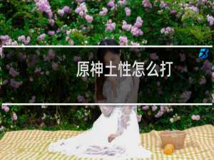 原神土性怎么打