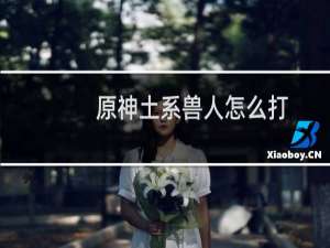 原神土系兽人怎么打