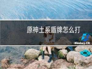 原神土系盾牌怎么打