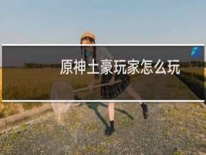 原神土豪玩家怎么玩