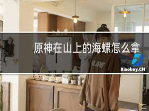 原神在山上的海螺怎么拿