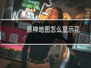 原神地图怎么显示花