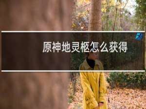 原神地灵柩怎么获得