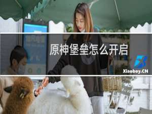 原神堡垒怎么开启
