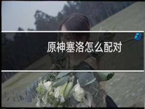 原神塞洛怎么配对