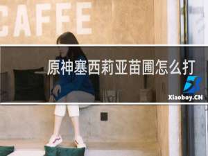 原神塞西莉亚苗圃怎么打