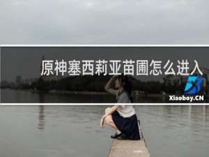 原神塞西莉亚苗圃怎么进入