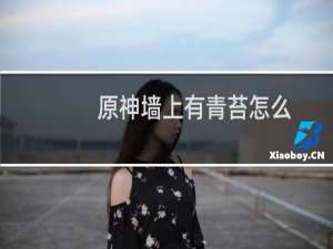 原神墙上有青苔怎么