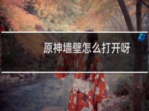 原神墙壁怎么打开呀