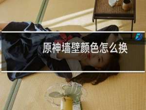 原神墙壁颜色怎么换