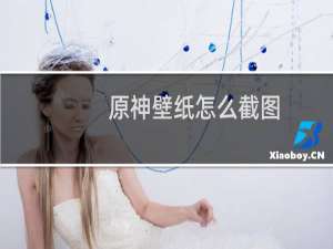 原神壁纸怎么截图