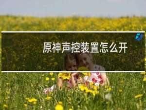 原神声控装置怎么开