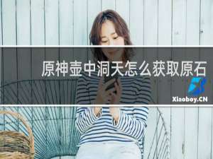 原神壶中洞天怎么获取原石