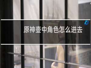 原神壶中角色怎么进去
