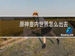 原神壶内世界怎么出去