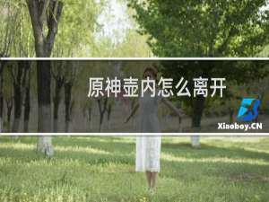 原神壶内怎么离开