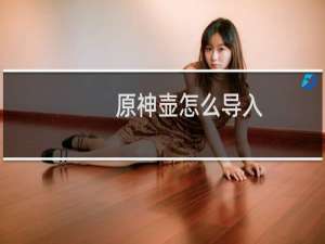 原神壶怎么导入