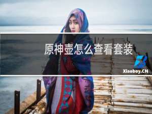 原神壶怎么查看套装