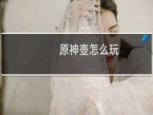 原神壶怎么玩
