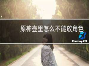 原神壶里怎么不能放角色