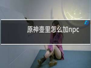 原神壶里怎么加npc