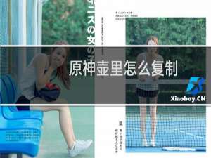 原神壶里怎么复制