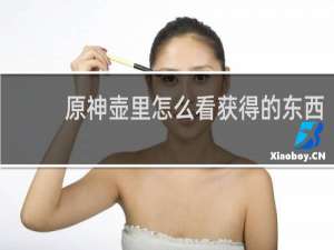 原神壶里怎么看获得的东西