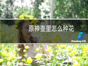 原神壶里怎么种花