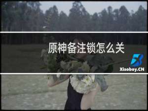原神备注锁怎么关