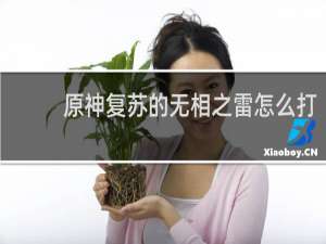 原神复苏的无相之雷怎么打