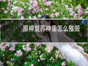 原神复苏神雷怎么摧毁