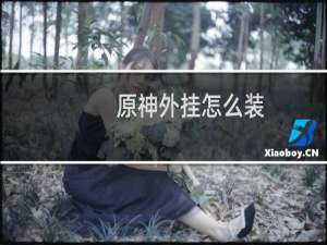 原神外挂怎么装