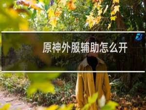 原神外服辅助怎么开