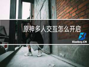 原神多人交互怎么开启