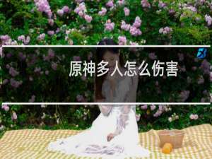 原神多人怎么伤害